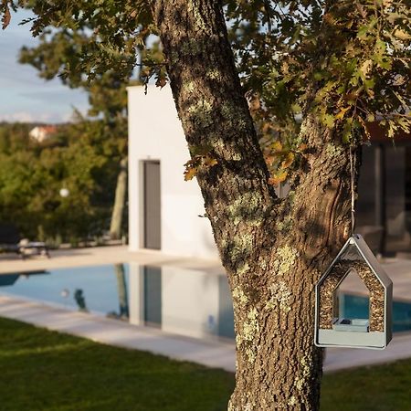 Villa Eos Sveti Petar u Sumi Exterior photo